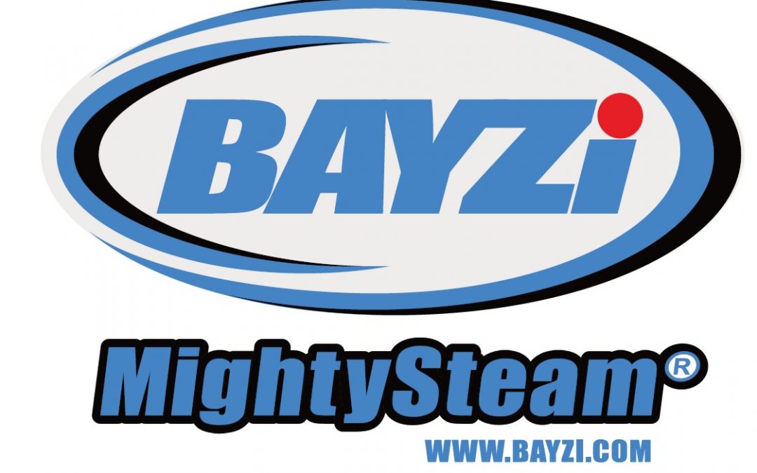 MightySteam® with SaniZap® by Bayzi Corporation