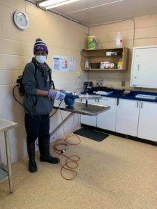 shelter cleaning